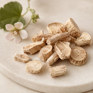 Marshmallow Root